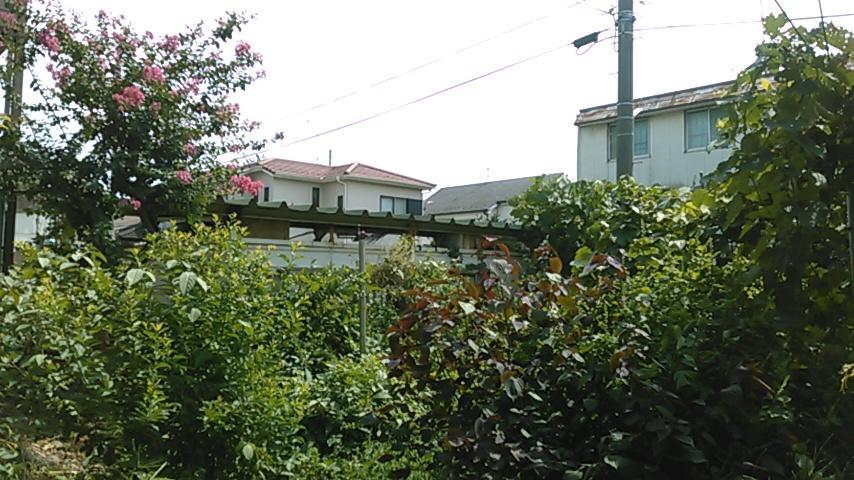 "Cherry House" Is Direct To Narita,Haneda Ap, Disney, Asakusa, Skytree Tower, Tokyo Macudo Exteriér fotografie
